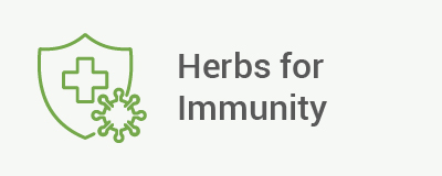 herbs for immunity illustration