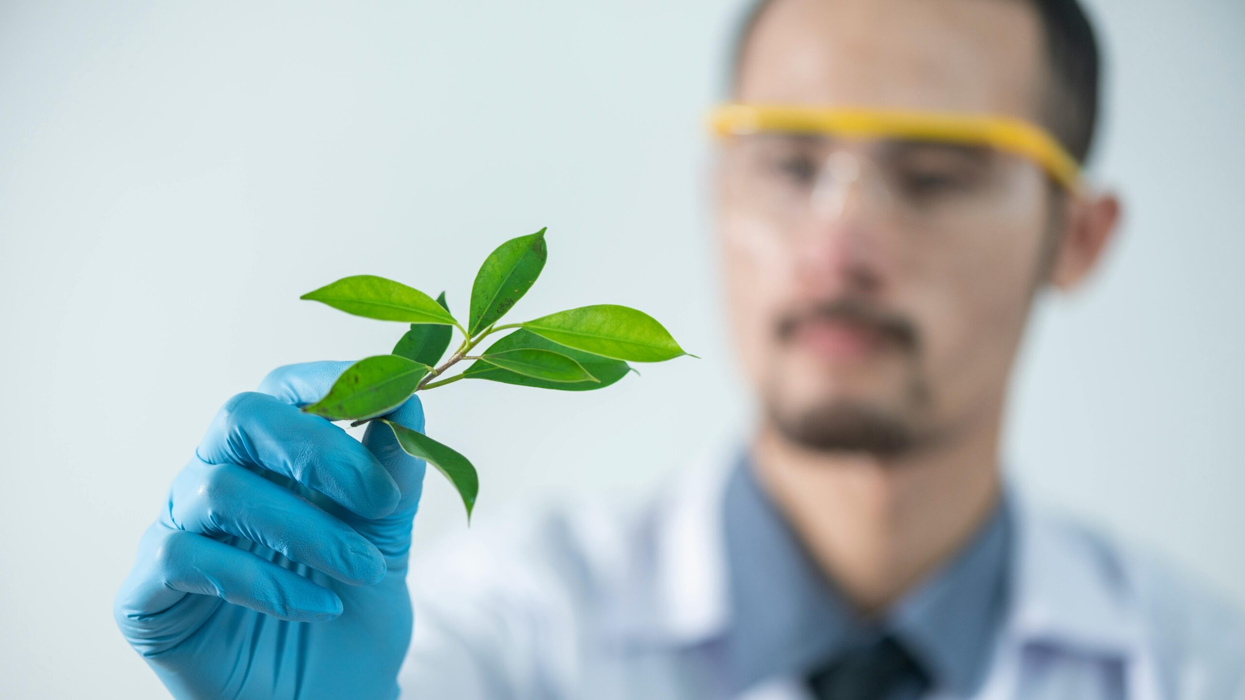 Young scientist wearing protective gloves and examining a plant sample in a laboratory setting.