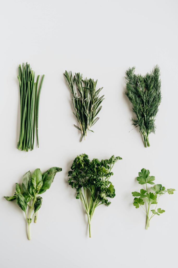Assorted fresh herbs including basil, parsley, and dill presented on a white table.